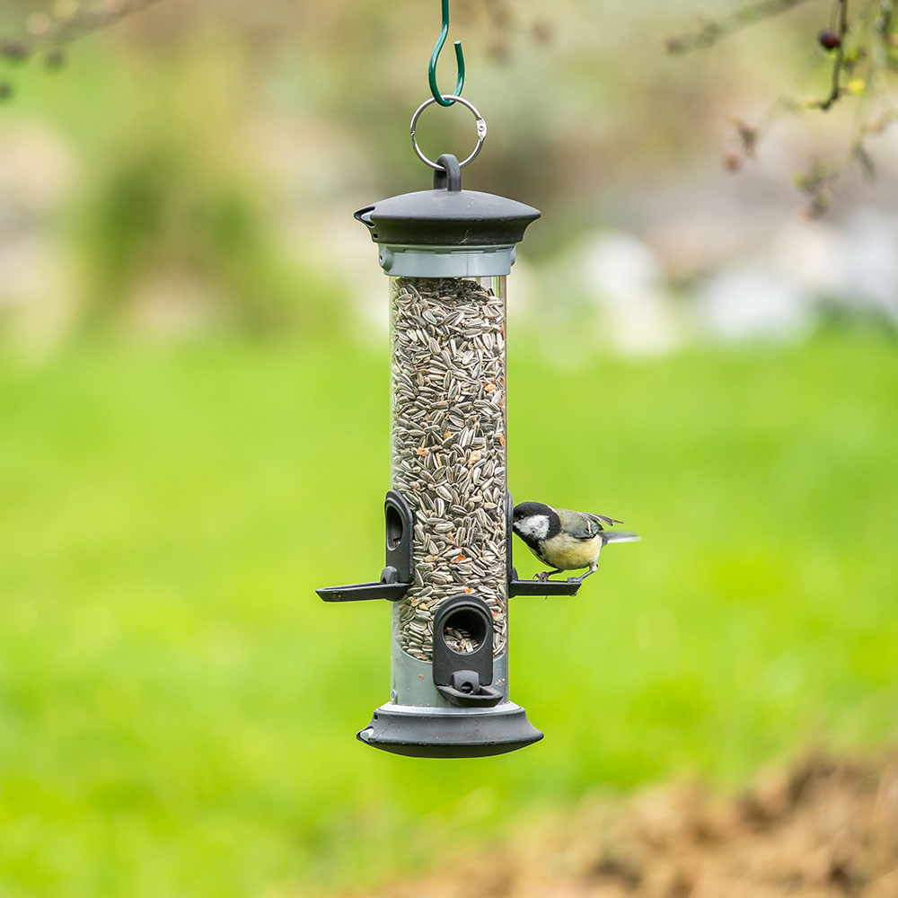 Sonnenblumenkerne gestreift 2,5kg | Vogelfutter | CJ Wildlife